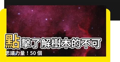 樹木的用途|【樹木的用途】點擊瞭解樹木的不可思議力量！50 個種植樹木的。